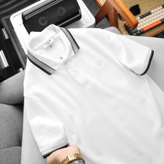 POLO  nam 3 Colors.  Chất 100% COTTON cá sấu mắt chim chính phẩm co giản 2 chiều dày dặn.