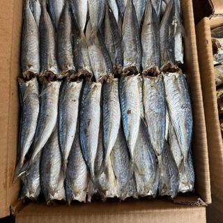 Cá nục hấp mặn loại đẹp cả thùng khối lượng 6kg