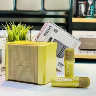 Loa Karaoke Bluetooth YS-111