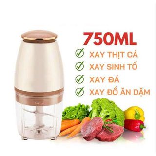 MÁY XAY ĐA NĂNG YUESLILA NẮP ĐỒNG (T30)