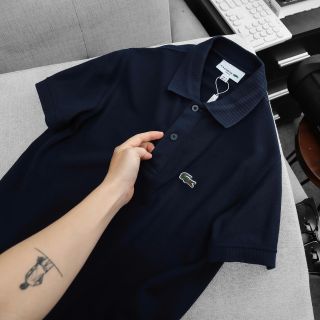 POLO NAM 6 COLOR. Chất cotton Quảng Châu mền  , mịn, đẹp, thấm hút tốt.