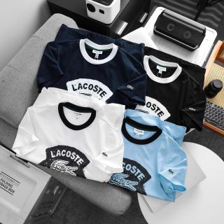 Mẫu áo Cotton 4c nhà cá, chất vải mềm mịn phối màu bo cổ chuẩn hãng.