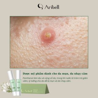 KEM DƯỠNG PHỤC HỒI DA CHUYÊN SÂU CAO CẤP PANTHE 5 CALMING CREAM KOREA 50ML