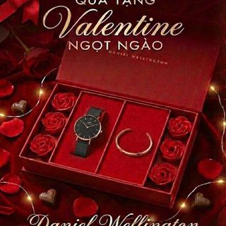 SET QUỐC TẾ PHỤ NỮ HỘP HOA HỒNG ĐỎ DANIEL W CAO CẤP DÂY LƯỚI PETITE VÀ CUFF