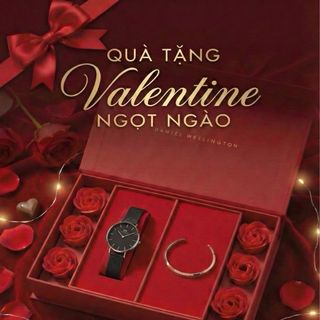 SET QUỐC TẾ PHỤ NỮ HỘP HOA HỒNG ĐỎ DANIEL W CAO CẤP DÂY LƯỚI PETITE VÀ CUFF