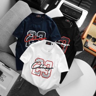 Áo thun nam. Chất 100% COTTON chính phẩm co giản 4 chiều xịn sò dày dặn mịn mát.