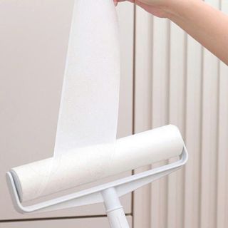 CON LĂN LÕI DÀI 24CM LOẠI BỎ BỤI BẨN