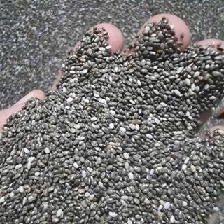 Hạt chia bên em mới về. Anh chị lên đơn liên hệ 0938.78.69.82 để nhận giá tốt nhé. Ko TP HCM giao hàng toàn quốc