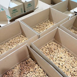 NHÂN ÓC CHÓ VÀNG MỸ / CHILE