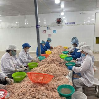 Ruốc muối - Mắm tép Hàn dùng làm kim chi, nước sốt, mắm tôm hoặc ăn sống - THÙNG 20KG