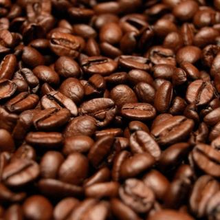 Cà phê Arabica Cầu Đất 100% rang mộc - Hàng sỉ cho chủ quán cafe