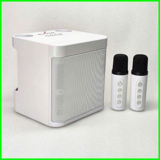 Loa Karaoke Không Dây Bluetooth A826