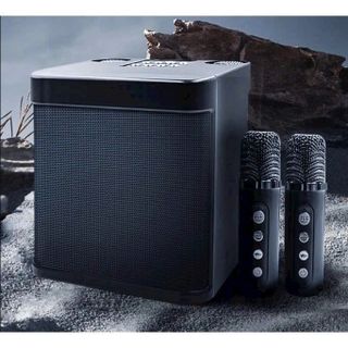 Loa Karaoke Không Dây Bluetooth A826