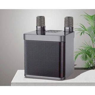 Loa Karaoke Không Dây Bluetooth A826