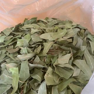 Lá Khuynh Diệp khô thơm đẹp