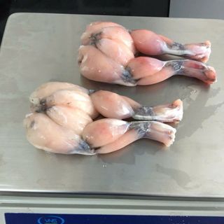 ĐÙI ẾCH size to, chắc thịt, giàu dinh dưỡng, đạt chuẩn xuất khẩu - 1KG - CHỈ GIAO Ở HCM