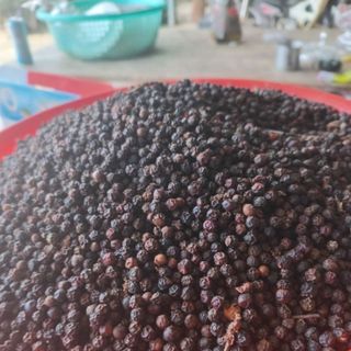 Tiêu khô Đăk Lăk