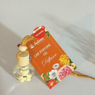 BỎ SỈ TINH DẦU TREO – KHỬ MÙI XE, PHÒNG, TỦ QUẦN ÁO, TOILET