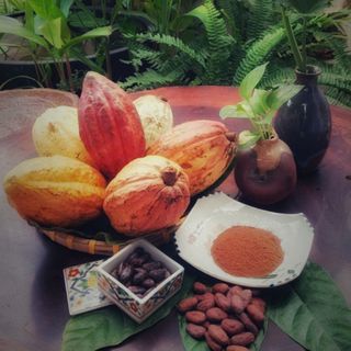Hạt cacao lên men, phơi khô (chưa rang)