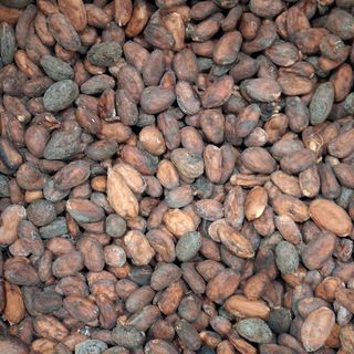 Hạt cacao lên men, phơi khô (chưa rang)