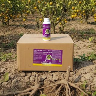 Trị tuyến trùng rễ