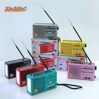 Đài FM Radio FP-607S