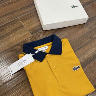 Áo thun nam. POLO  NAM PIQUE NEW.  Chất cotton Tổ Ông gai PIQUE.