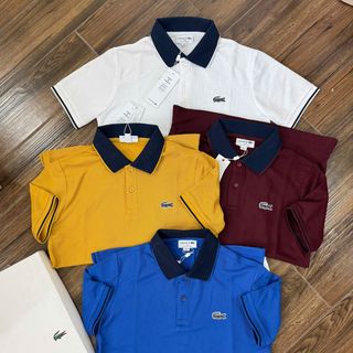 Áo thun nam. POLO  NAM PIQUE NEW.  Chất cotton Tổ Ông gai PIQUE.
