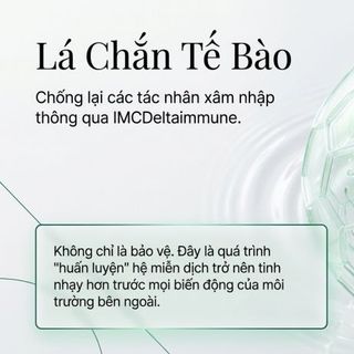 Nước Quantum - Nước uống co đặc - Quantum Green - Tốt cho sức khỏe