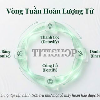 Nước Quantum - Nước uống co đặc - Quantum Green - Tốt cho sức khỏe