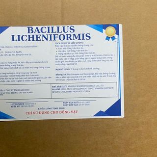 Bacillus Licheniformis – Vi Sinh Xử Lý Cặn Dầu Mỡ, Giảm Khí Độc NH3, NO2, H2S Cho Ao Nuôi Thủy Sản