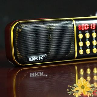 Máy Nghe Nhạc Mp3 BKK B851 - Đài Nghe Pháp Kinh Phật, Đài FM- 2 Pin 2 Khe Thẻ Nhớ