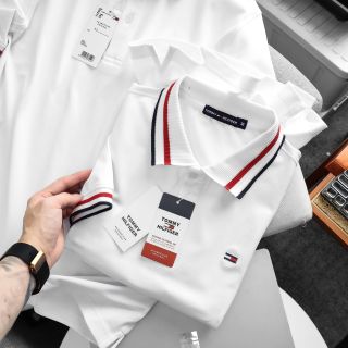 Áo thun nam. Chất cá sấu cotton 100% vải nhập , k quá dầy cũng k quá mỏng.