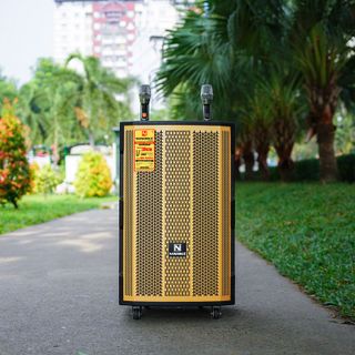 Loa Kéo Nanomax SK-12F8 Bass 30cm 450w Karaoke Bluetooth