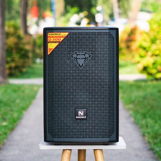 Loa Karaoke Nanomax Q-300 Bass 30cm 520w Karaoke Bluetooth