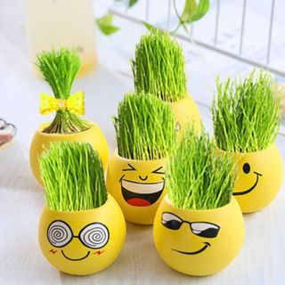 Combo 2 Hủ trồng cây icon chất liệu nhựa. Tặng kèm 700 hạt tinh thể ngâm nước nở rất lớn nha. Tặng kèm 1 gói hạt giống rau mầm củ cải trắng gồm 30 hạt. Giá 39k