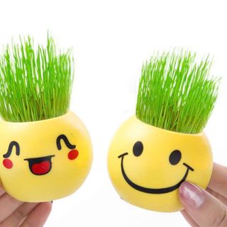 Combo 2 Hủ trồng cây icon chất liệu nhựa. Tặng kèm 700 hạt tinh thể ngâm nước nở rất lớn nha. Tặng kèm 1 gói hạt giống rau mầm củ cải trắng gồm 30 hạt. Giá 39k