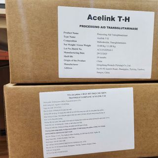 Chất hỗ trợ chế biến: Enzyme TG T-H