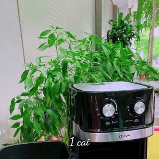 NỒI CHIÊN KHÔNG DẦU HDA 8L2