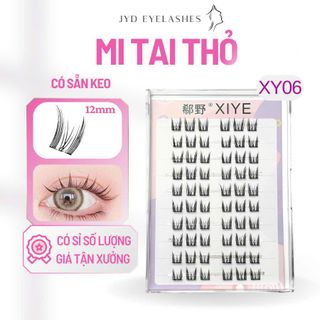 (FREE HĐ) MI SẴN KEO XY01 - XY010
