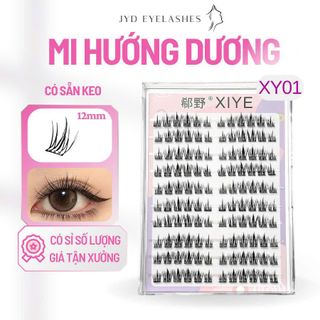 (FREE HĐ) MI SẴN KEO XY01 - XY010