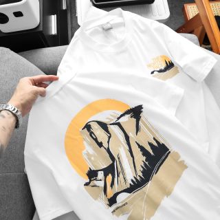 Áo thun nam.  Chất thun cotton 4c mềm mịn, in lụa & hình in chuẩn hãng.