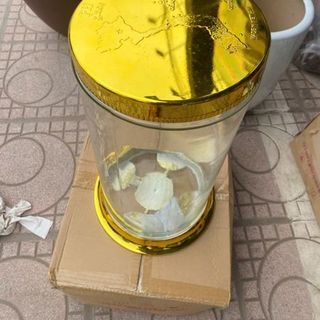 Bình Sâm Ngâm Rượu Trụ Thủy Tinh Nắp Vặn Vàng 25L ( THÙNG 4C )