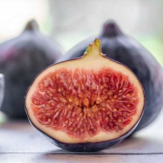 Quả Sung Mỹ Đà Lạt - Trái Cây Ngọt Tự Nhiên, Tốt Cho Sức Khỏe