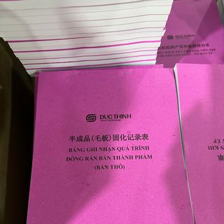 Sổ chi tiết doanh thu bán hàng hóa