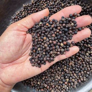 Hạt tiêu đen nông sản Đăk Lăk - Tặng kèm mật ong 100gr