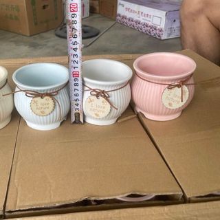 Chậu I love nature