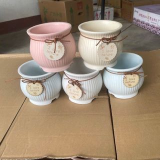 Chậu I love nature