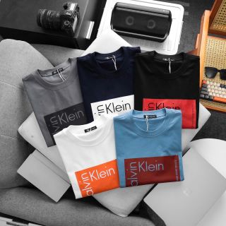 Mẫu áo thun nam basic tinh tế ,logo thêu in lụa kĩ lưỡng bao bong tróc.