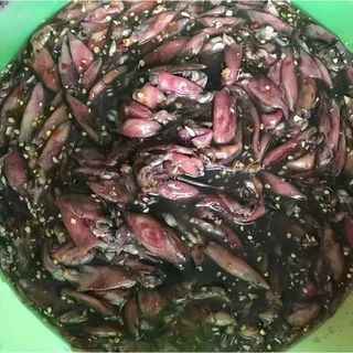 Mắm mực miền Trung